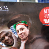 Arraial Santo António 2015