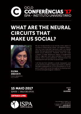 What are the neural circuits that make us social?