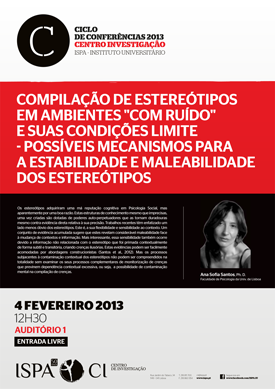 Compilação de estereótipos em ambientes &quot;com ruído&quot; e suas condições limite - possíveis mecanismos para a estabilidade e maleabilidade dos estereótipos 