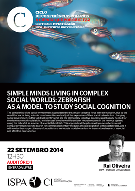 Simple minds living in complex social worlds: zebrafish as a model to study social cognition