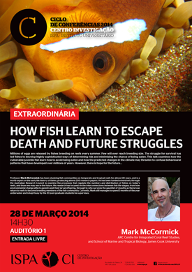 How fish learn to escape death and future struggles