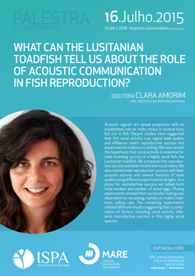 What can the Lusitanian toadfish tell us about the role of acoustic communication in fish reproduction?